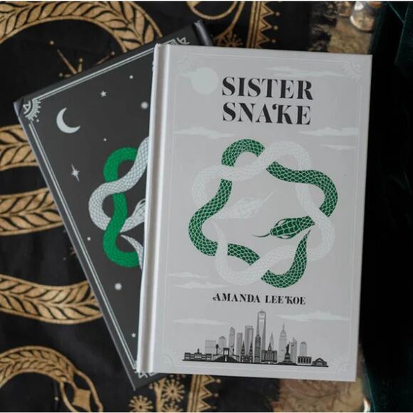 LitJoy Sister Snake by Amanda Lee Koe - November 2024 To Bee Read Box Book - Picture 3 of 14